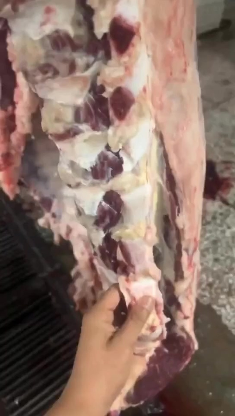 牛肉，整头分体肉，品质好货，放心肉，欢迎来电订购