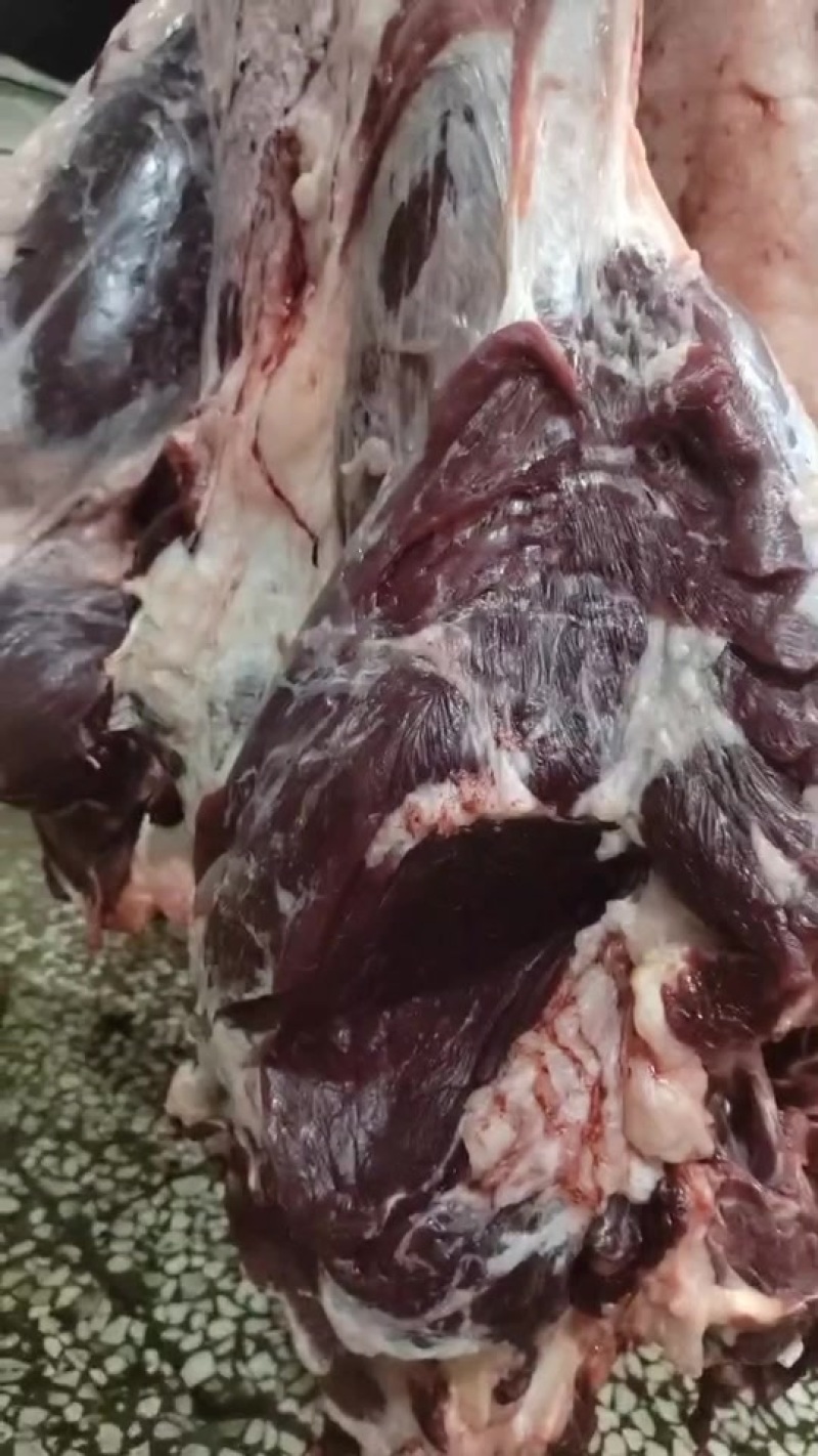 牛肉，整头分体肉，品质好货，放心肉，欢迎来电订购