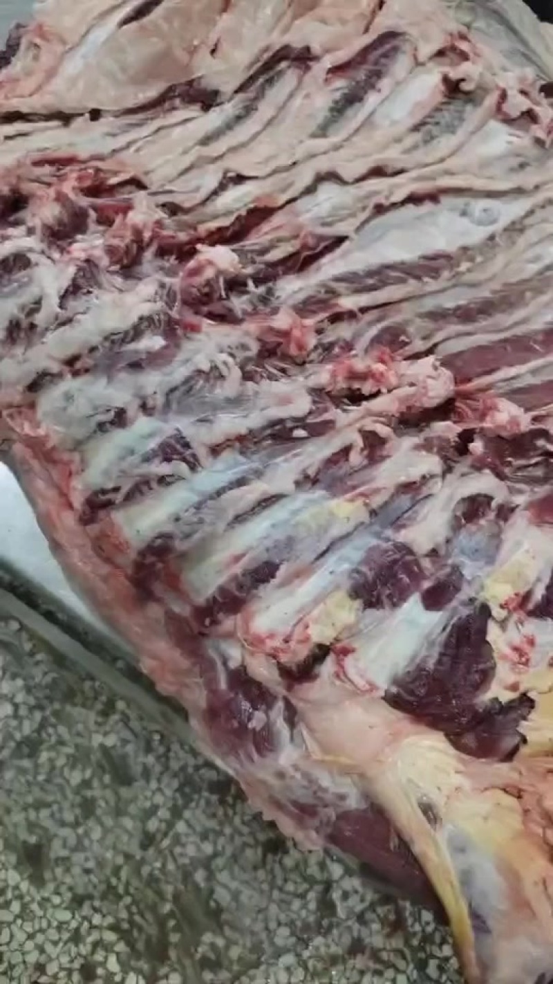 牛肉，整头分体肉，品质好货，放心肉，欢迎来电订购