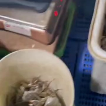 大闸蟹江苏大闸蟹