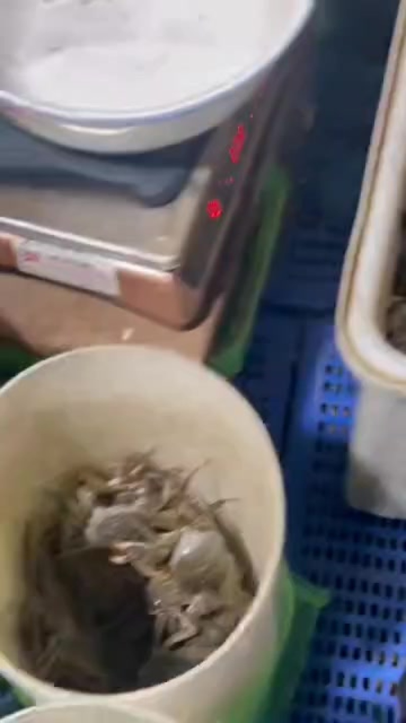 大闸蟹江苏大闸蟹