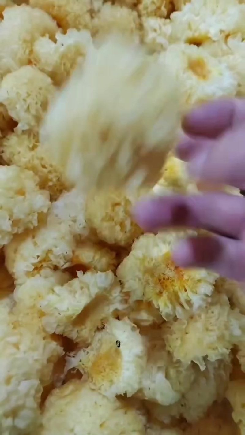 福建省古田县食用菌之都