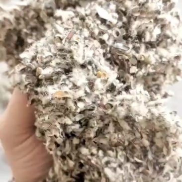 新疆优质棉籽壳