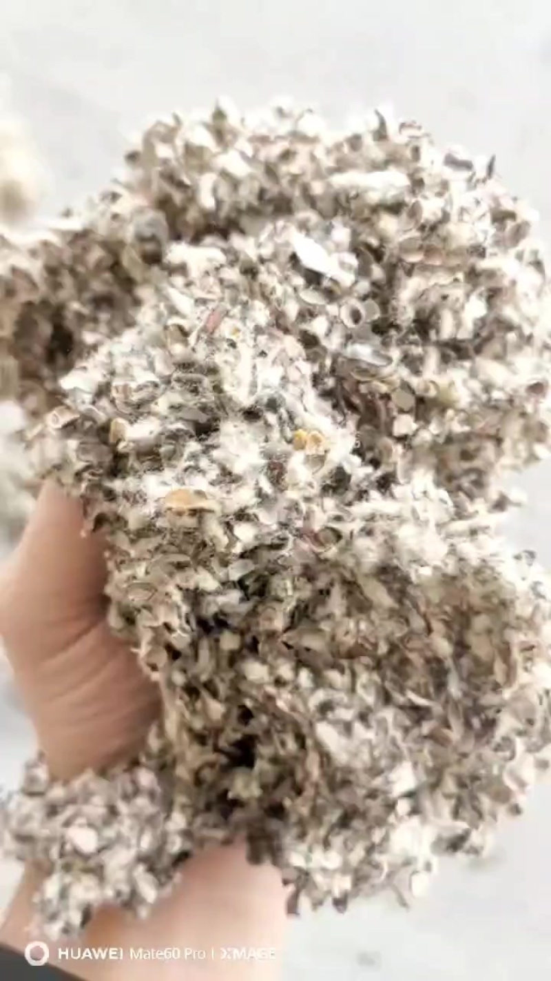 新疆优质棉籽壳