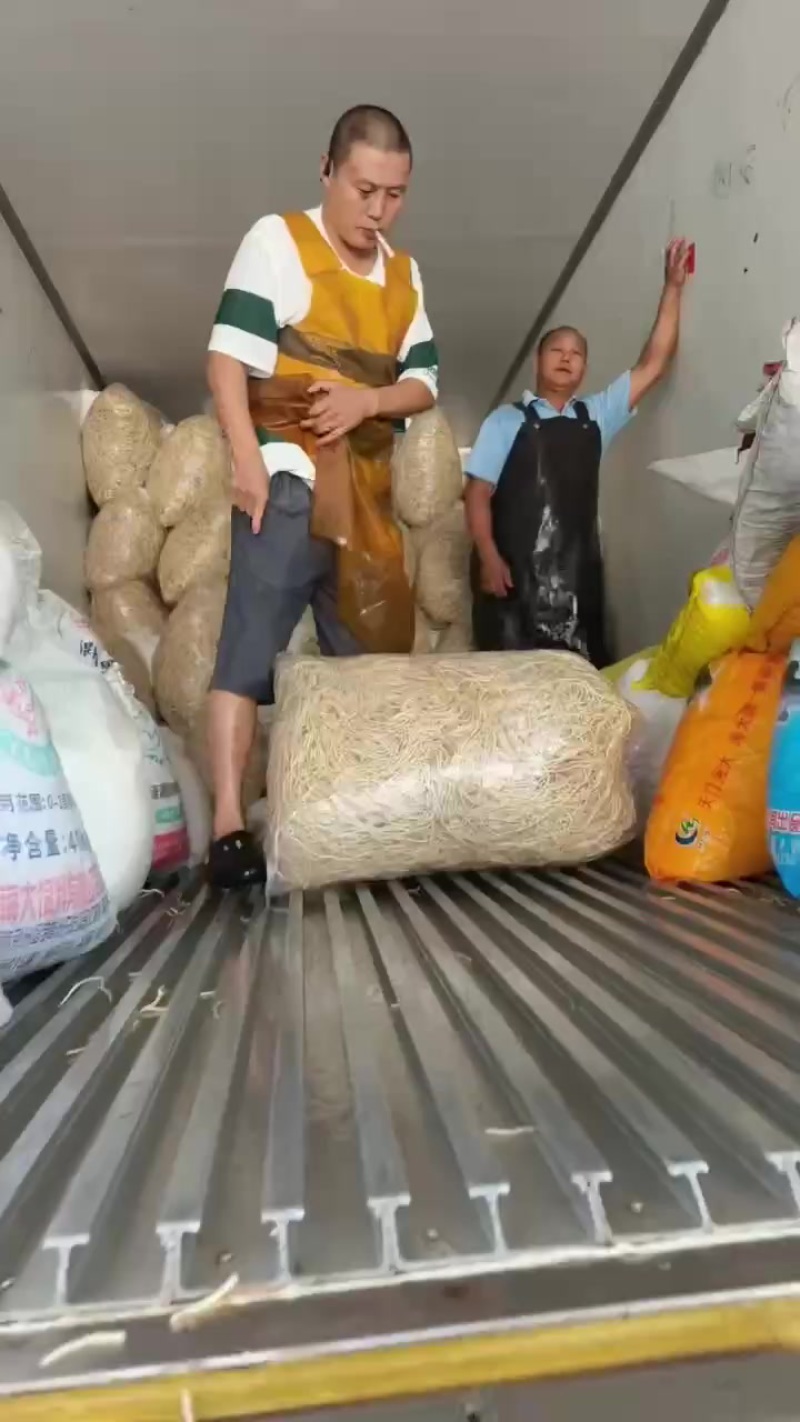 新鲜当阳鱼腥草根，每日1-2万斤水田根质量保证