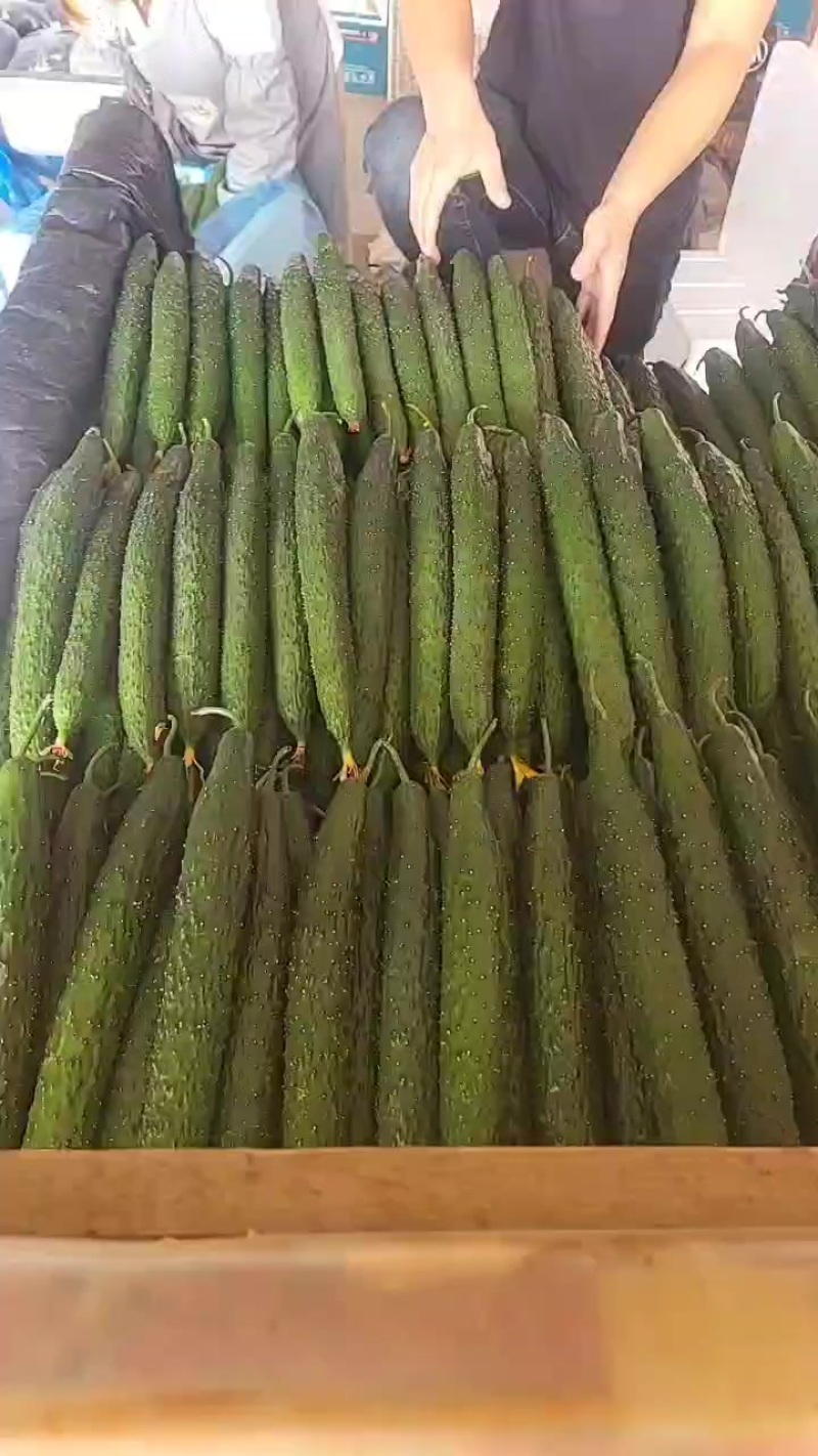 精品青瓜