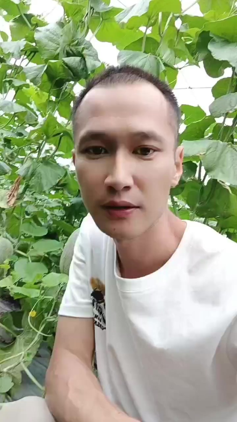 小蜜25