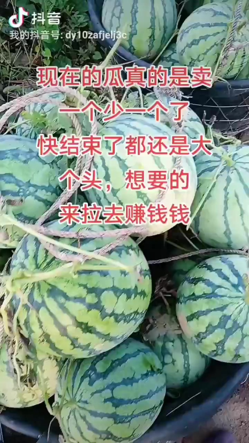 二茬美都