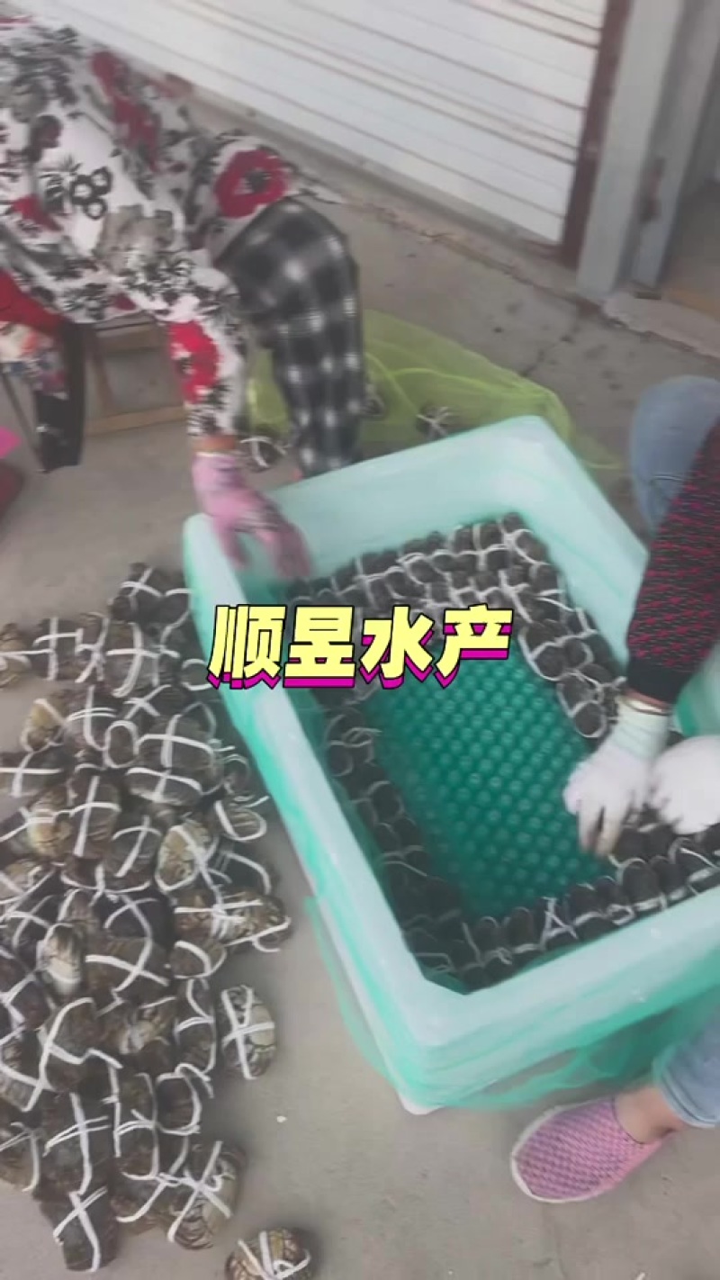 继续出单