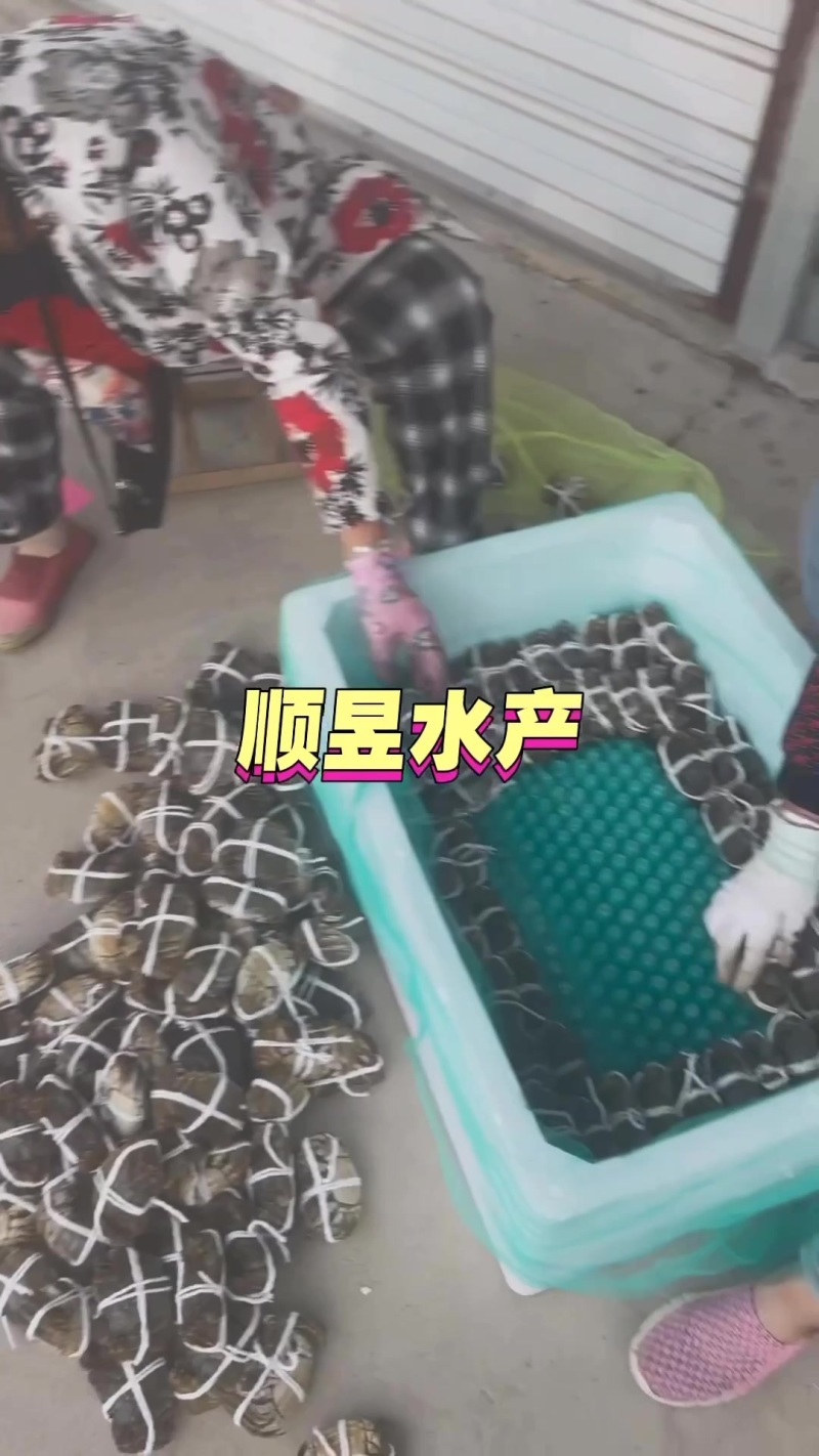 继续出单