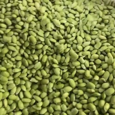 常年供应毛豆米！