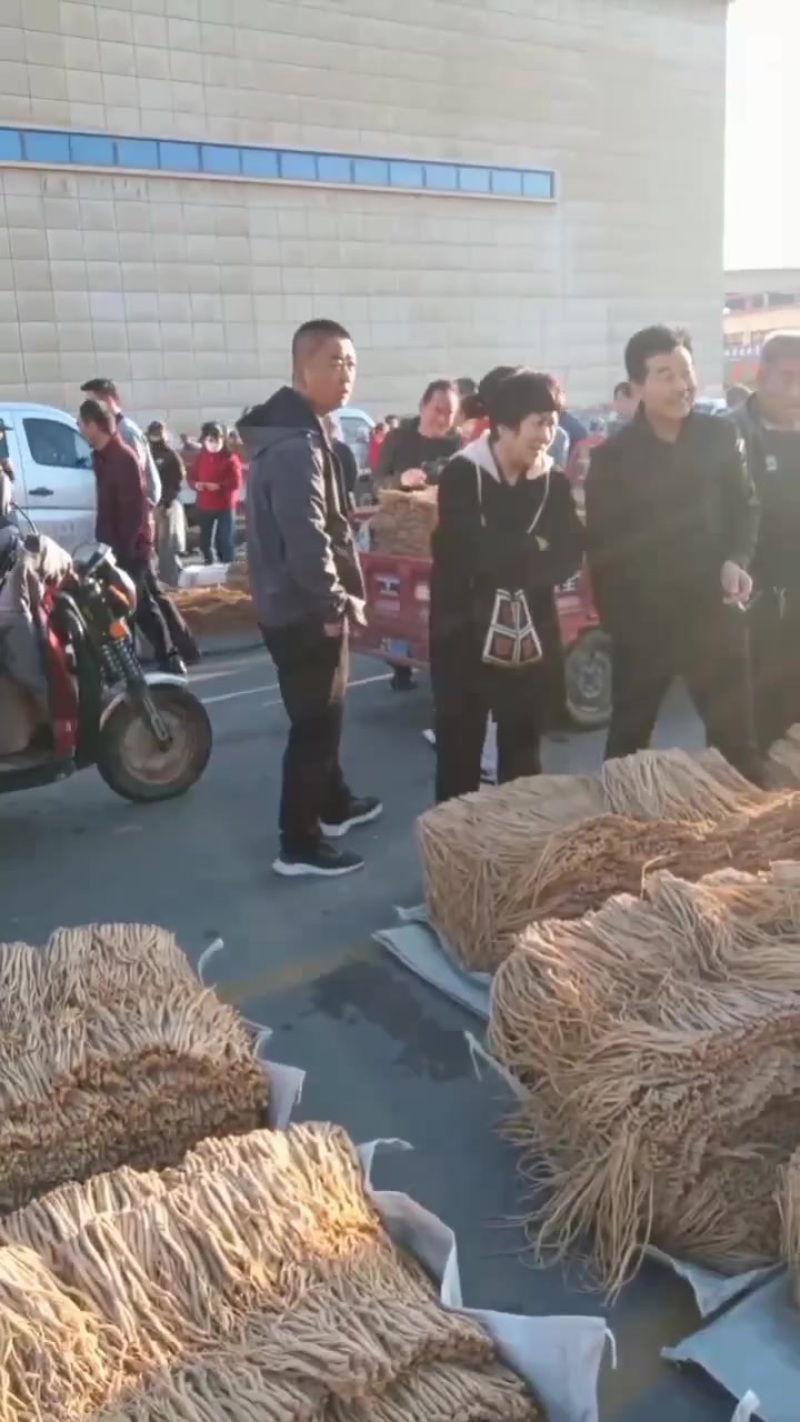 白条党参。纯干货。