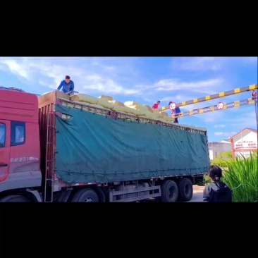 压缩稻壳节前走一车