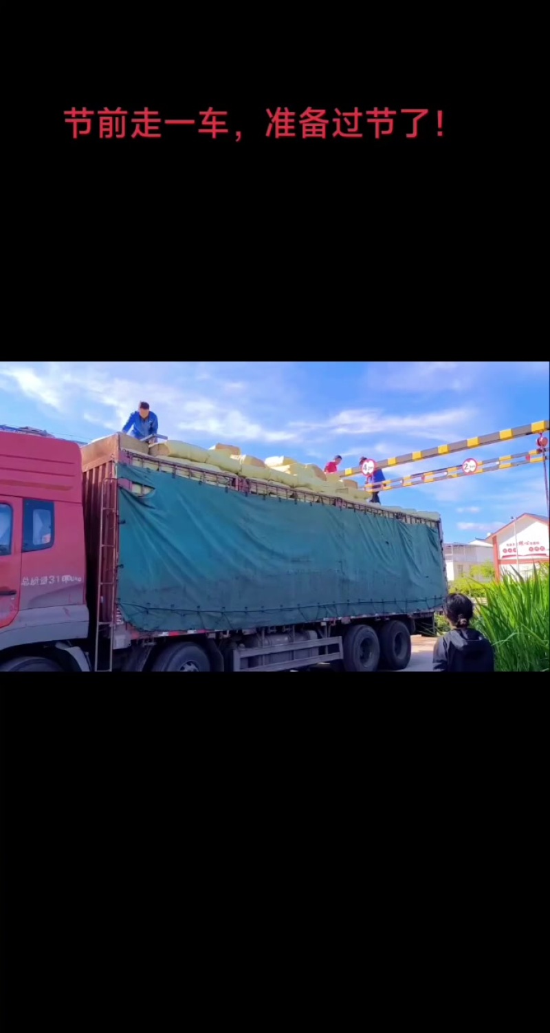 压缩稻壳节前走一车