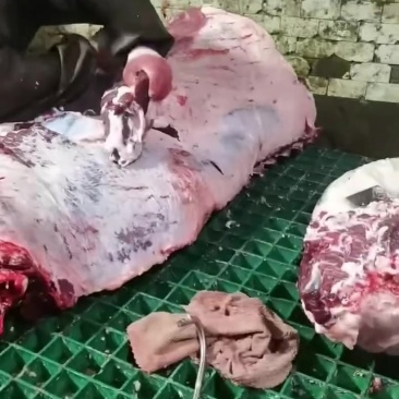 四分体牛肉