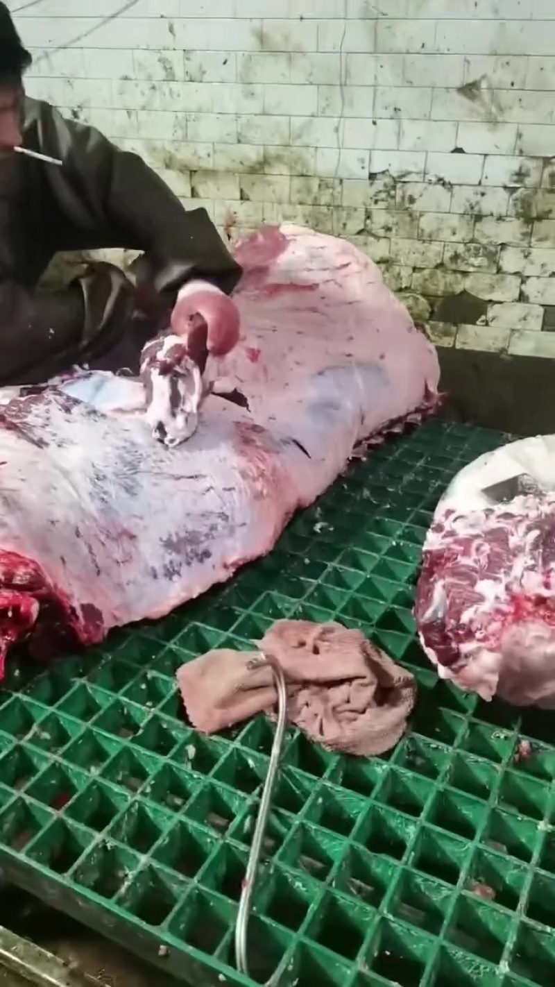 四分体牛肉