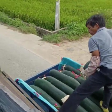 精品瓜
