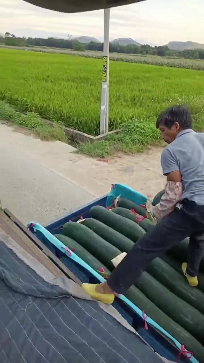 精品瓜
