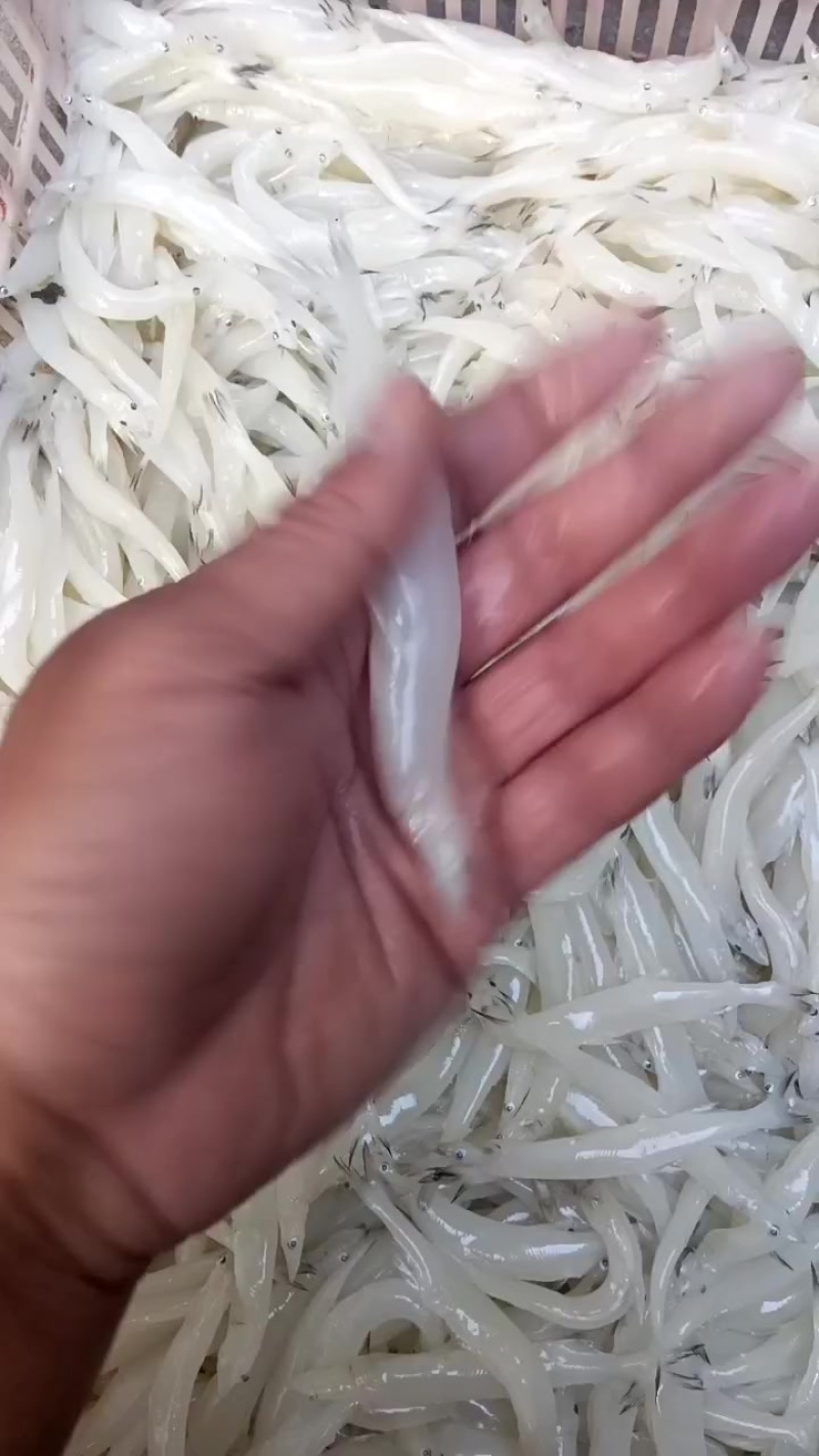 解冻质量。