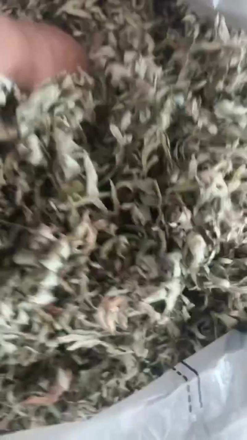 艾叶5吨左右