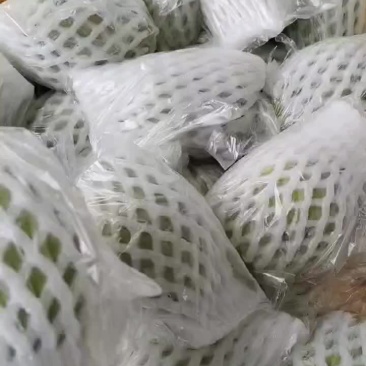 芭乐