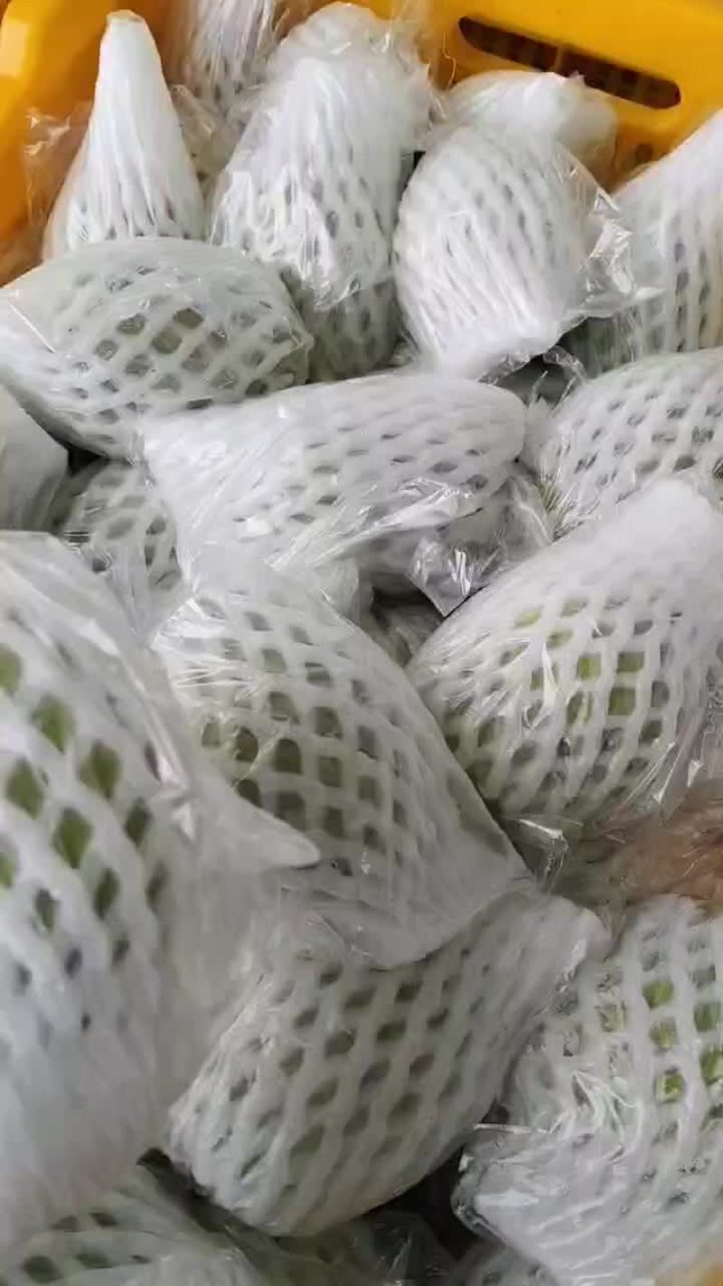 芭乐