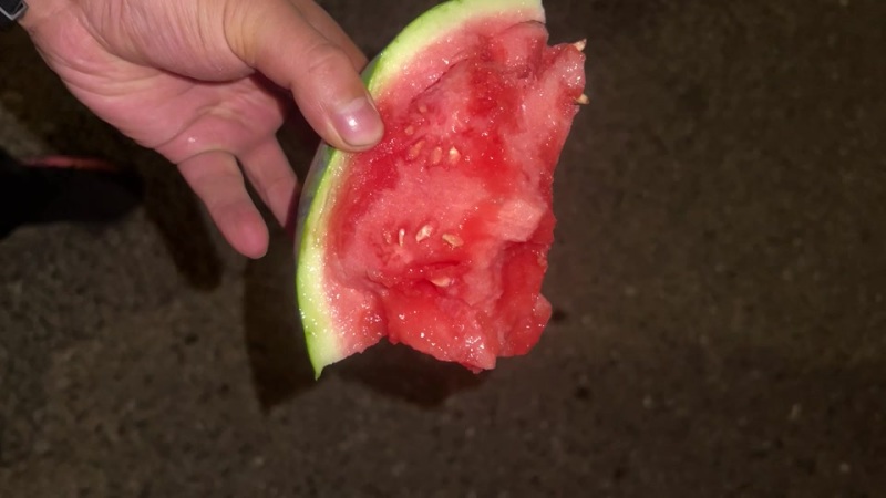 无子麒麟西瓜