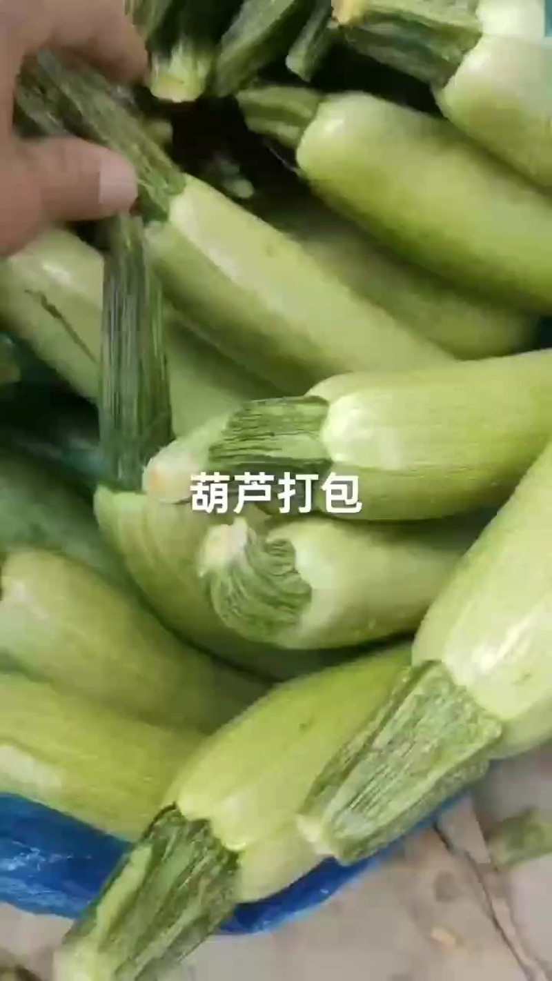 西葫芦