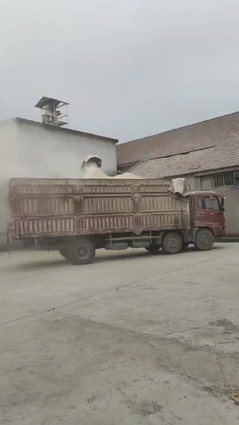 壳糠