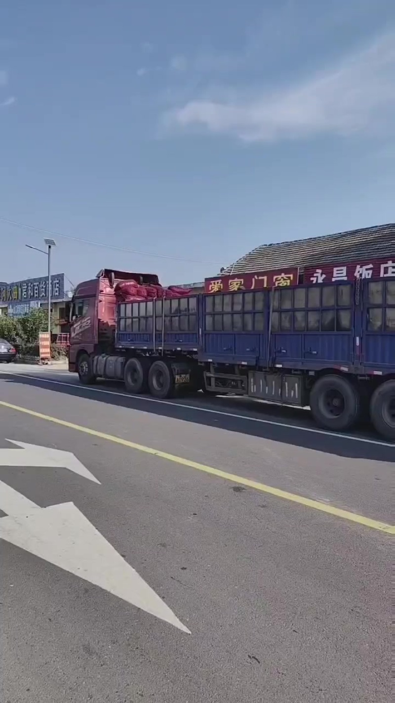 山楂打浆果批发