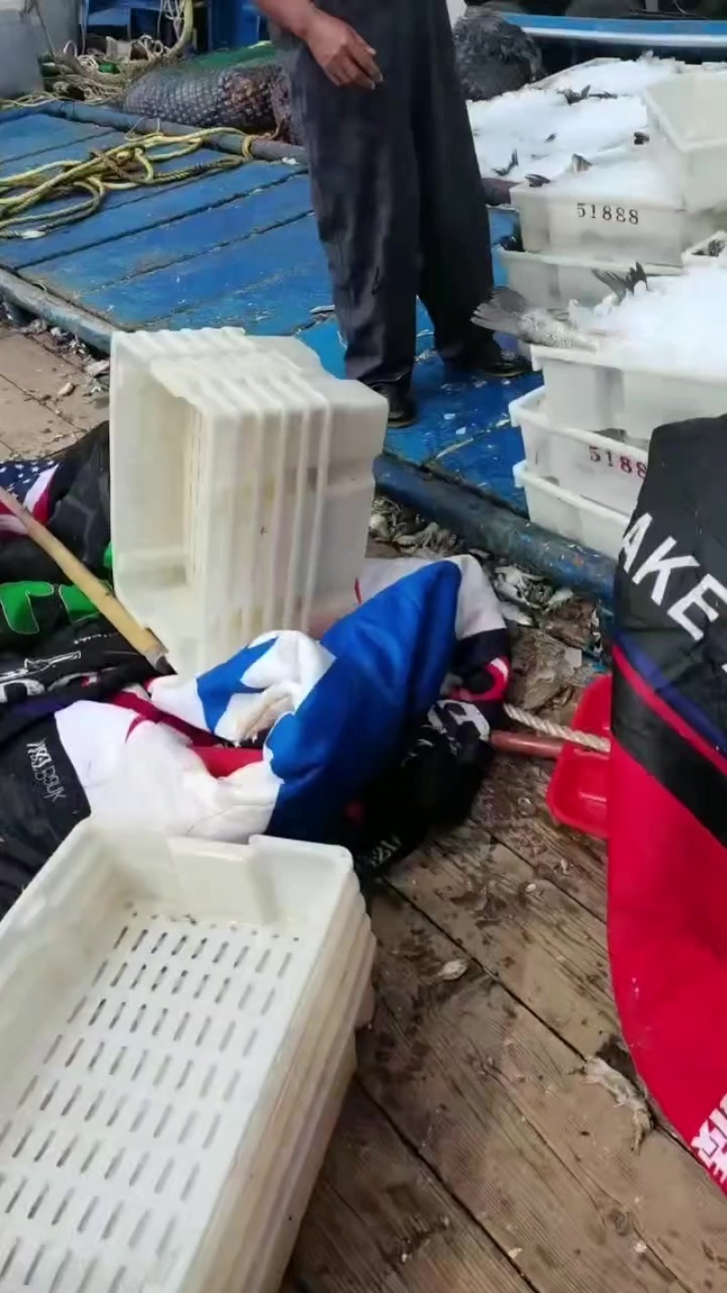 梭子蟹小螃蟹，123量统货，包肥，差一口气活的那种，