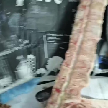 猪背骨