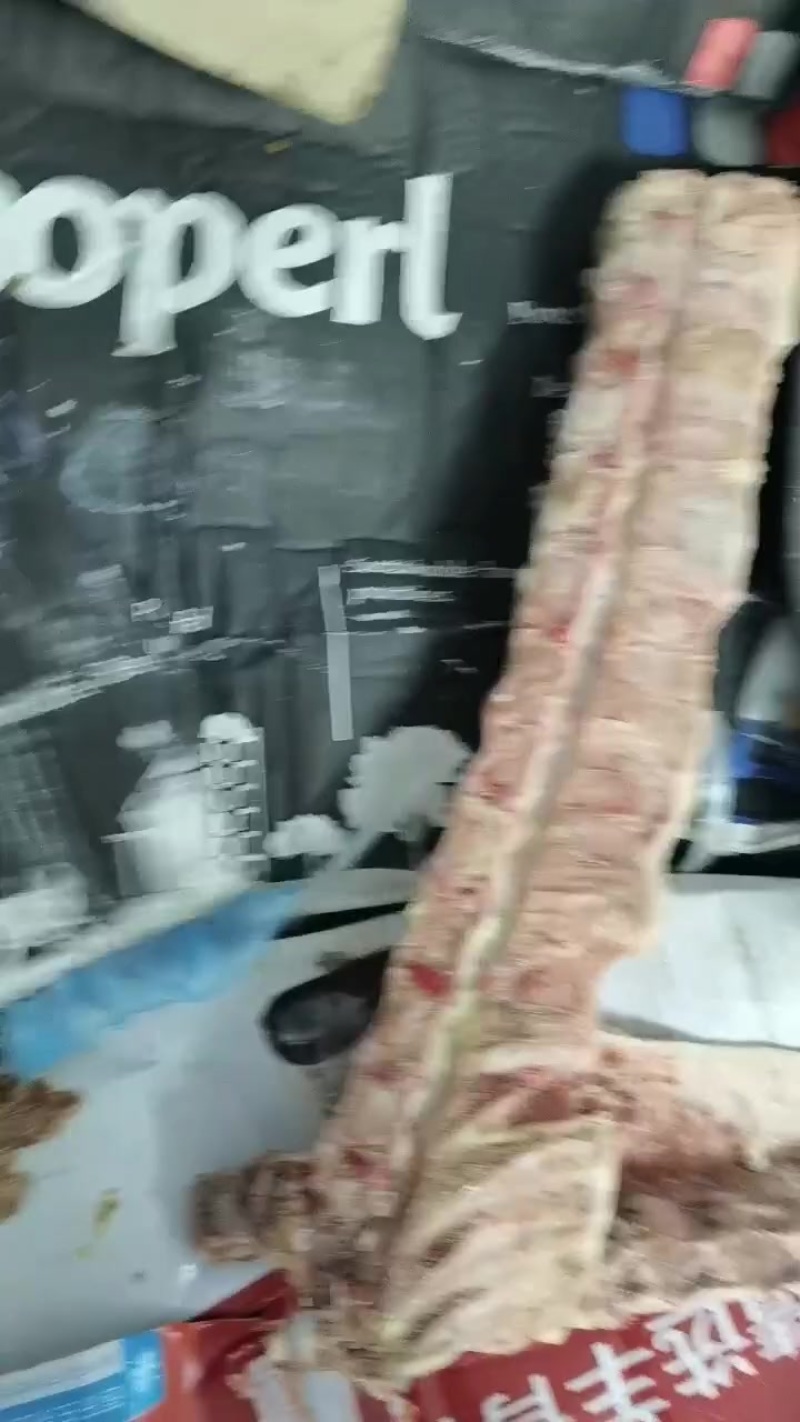 猪背骨