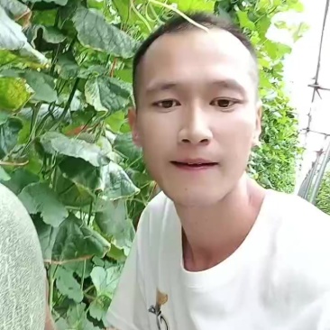 小蜜25