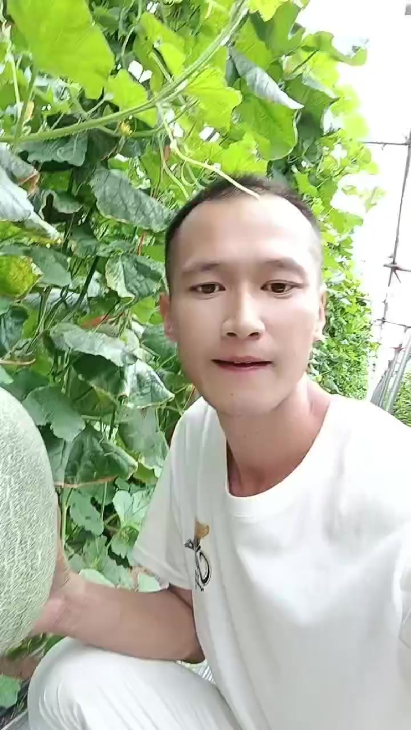 小蜜25