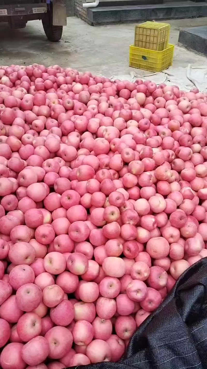 苹果