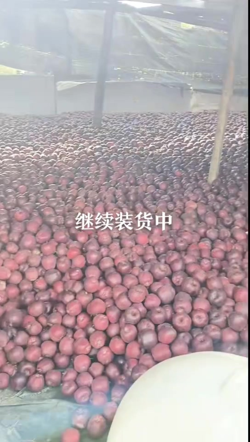 苹果