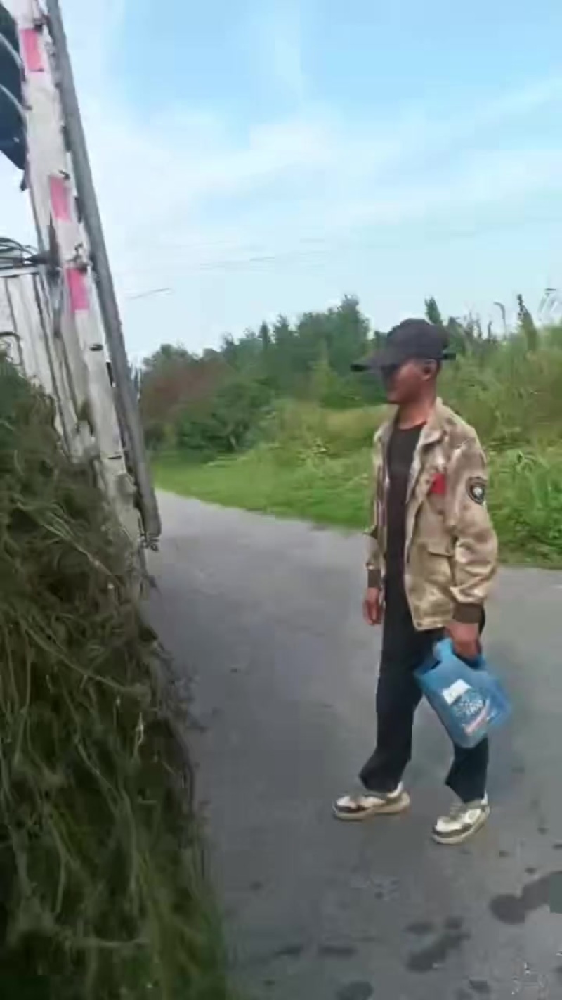 蟹塘精品伊乐藻