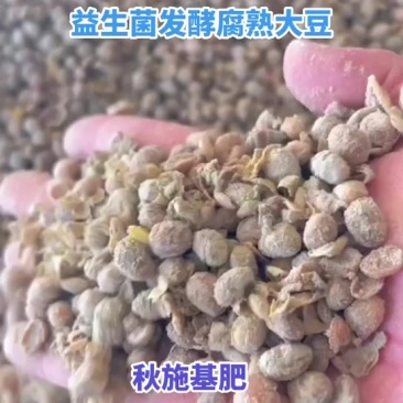 益生菌发酵腐熟大豆有机肥