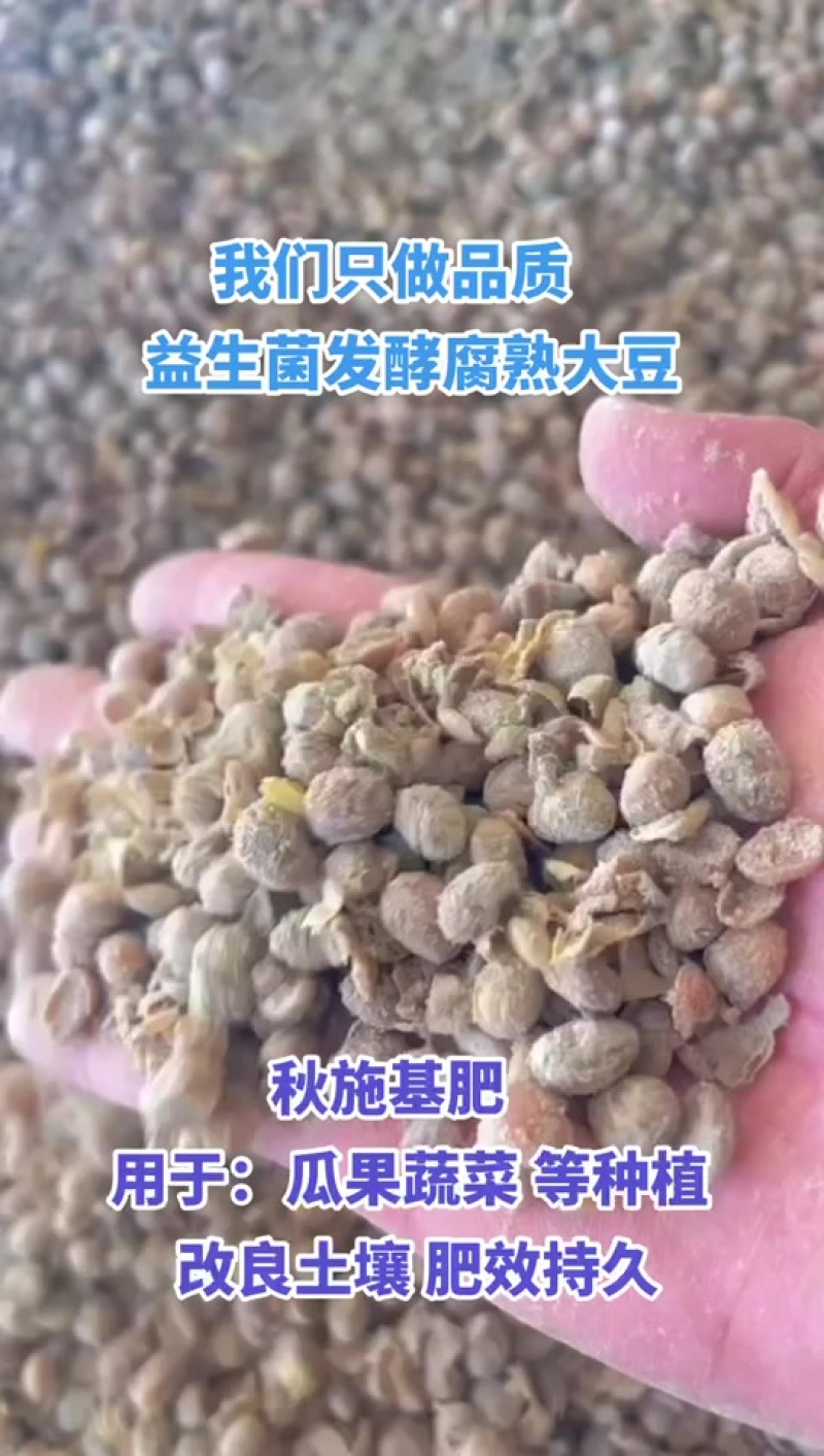 益生菌发酵腐熟大豆有机肥