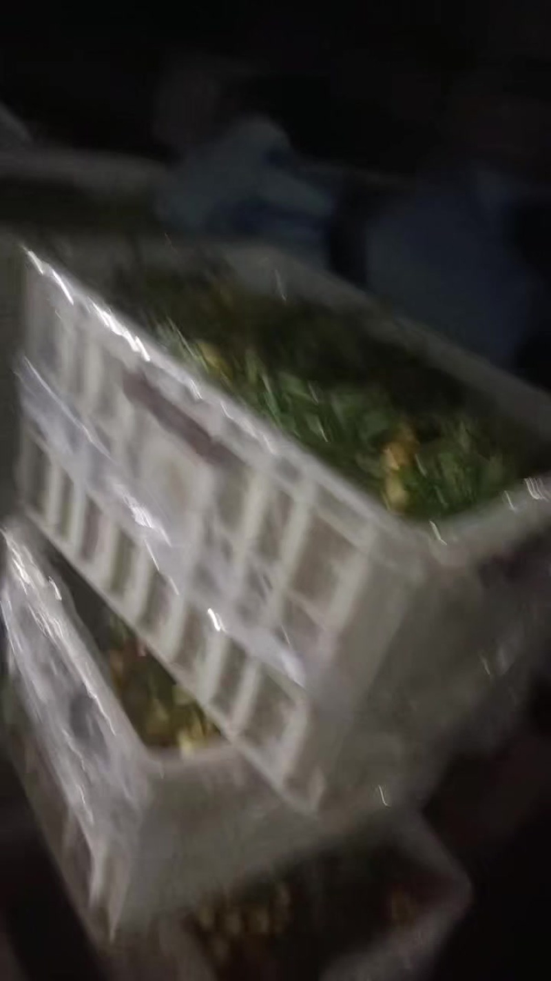 沾化特产