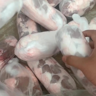 国产牛腰子