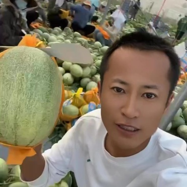 哈密瓜晓蜜25