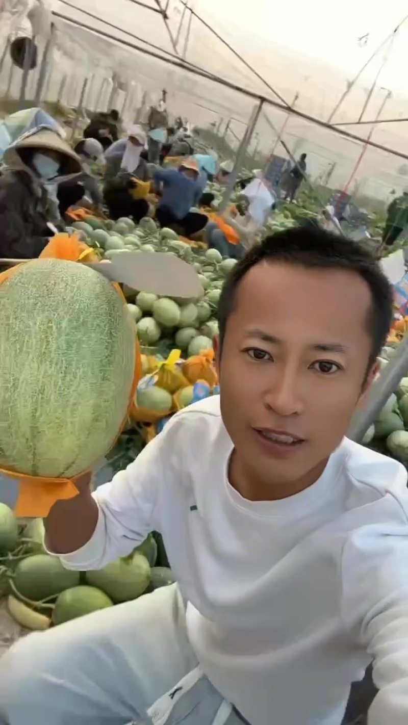 哈密瓜晓蜜25