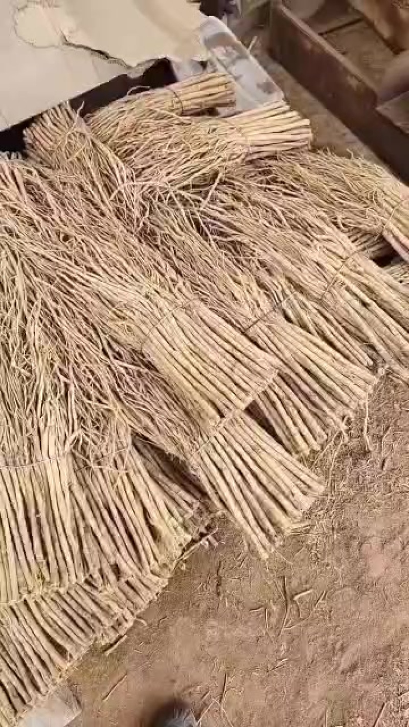新鲜黄芪，保健佳品，**特惠！
