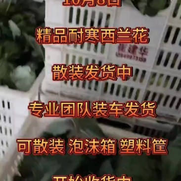 西兰花