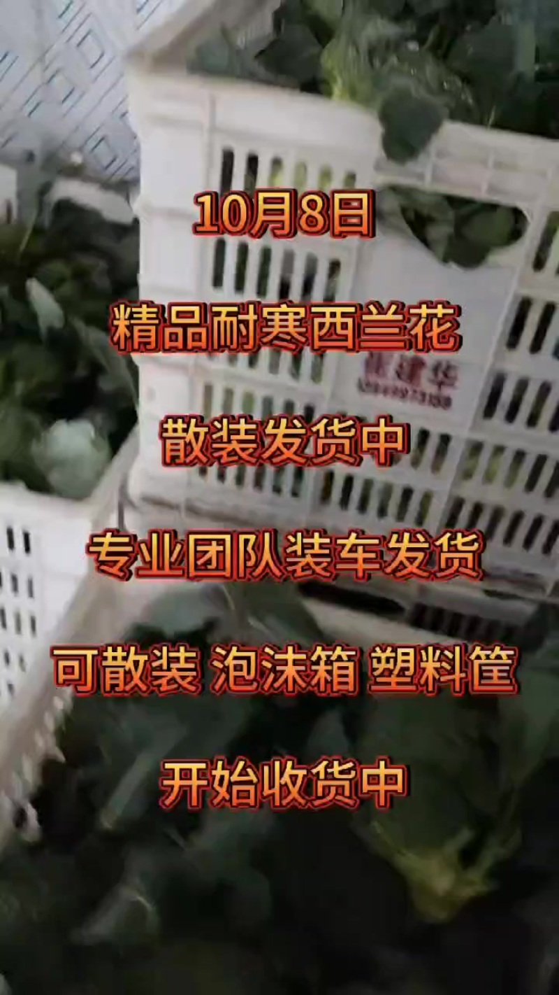 西兰花