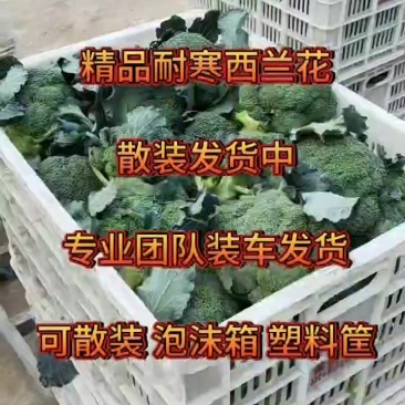 西兰花
