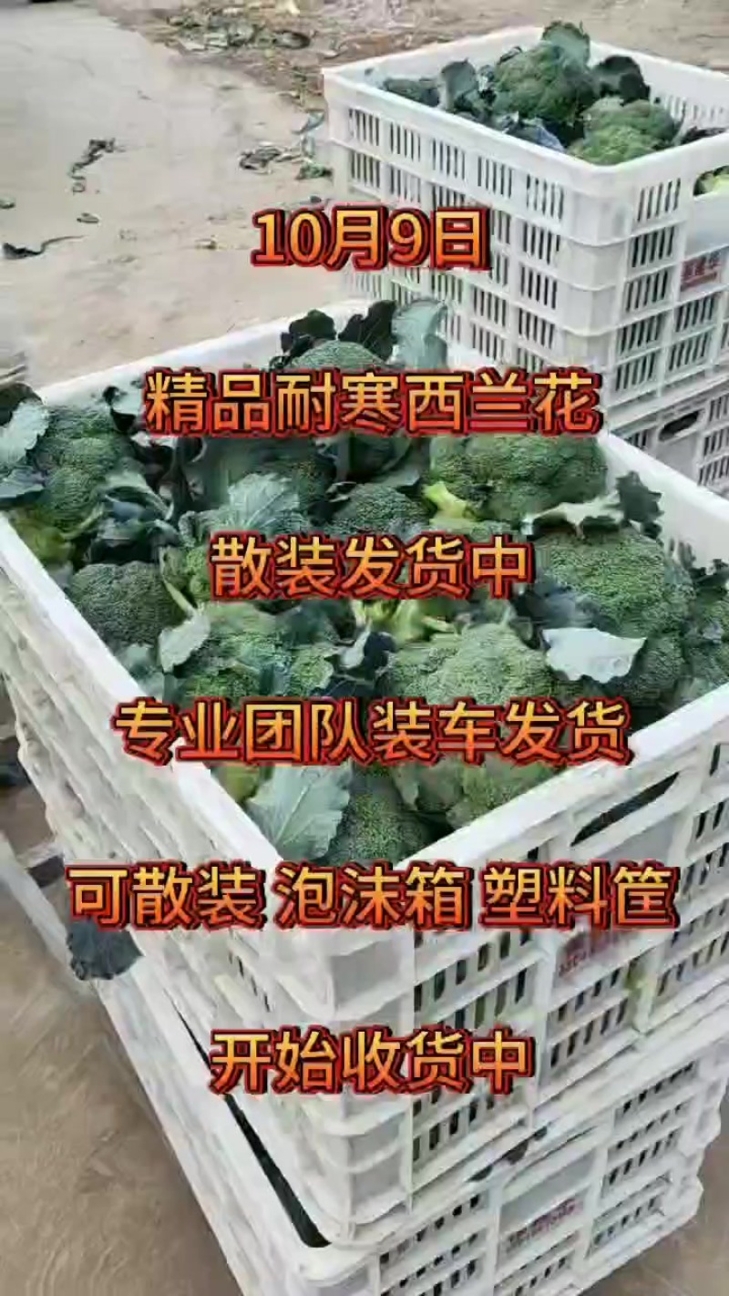 西兰花