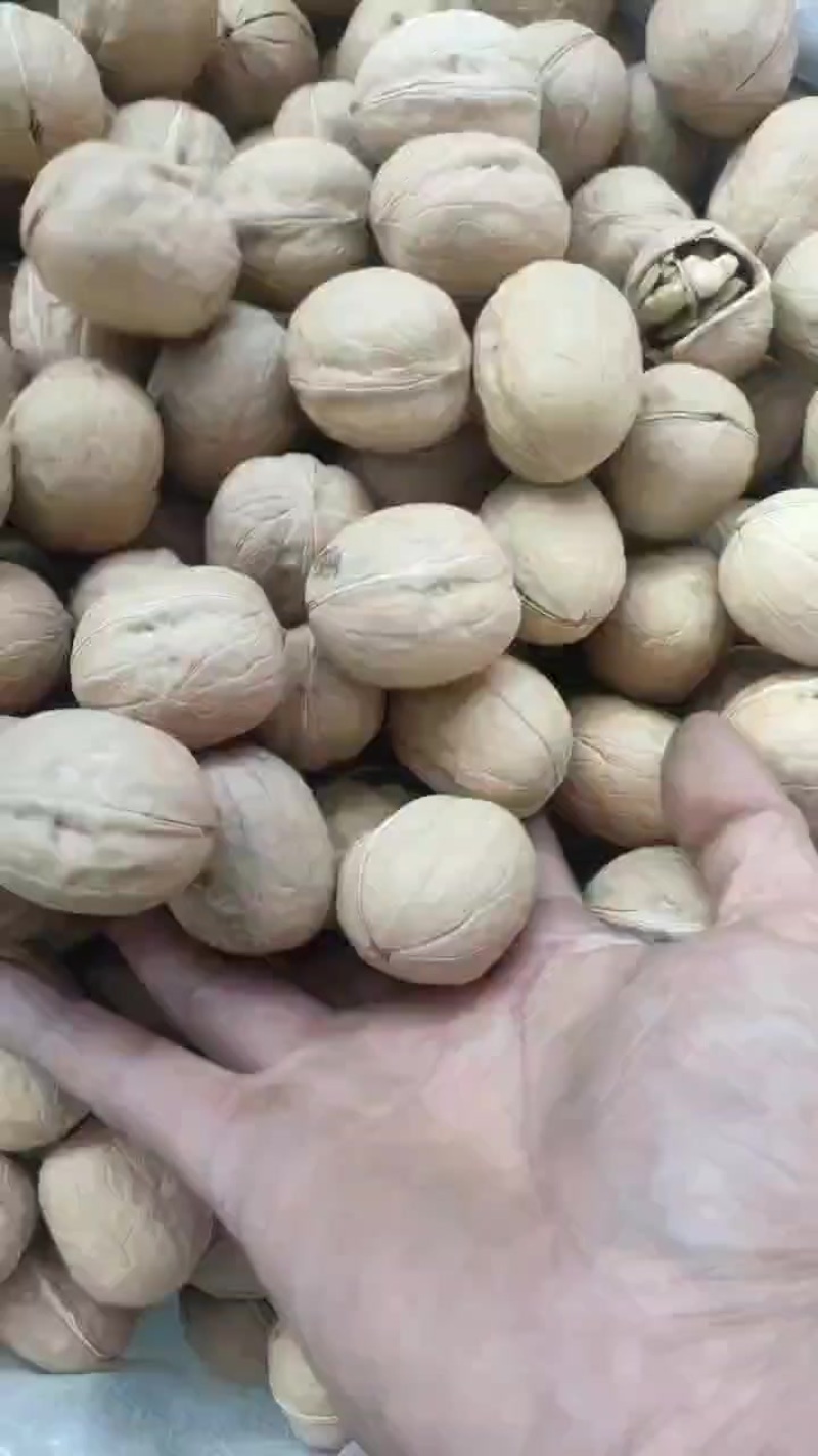 新货本地核桃